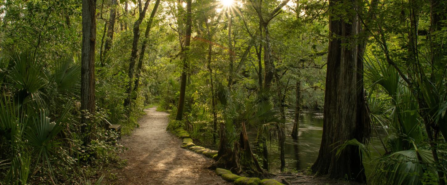 On the trail